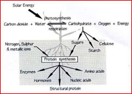 Solar Energy, Waternet Theydon UK